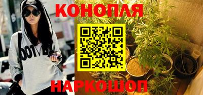 стаф Тулун