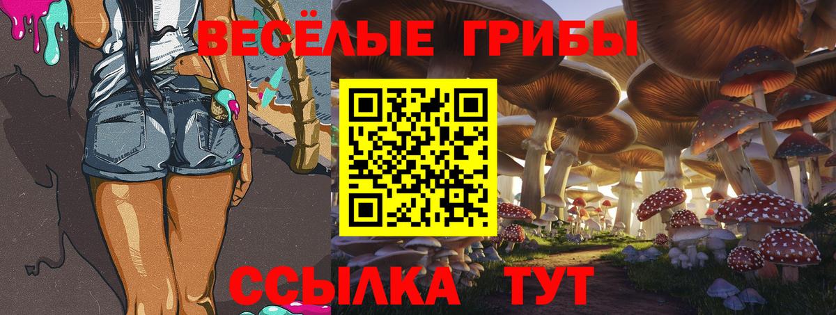 Нарткала  Псилоцибиновые грибы мухоморы  Вход с VPN  Галлюциногенные грибы ЛСД 